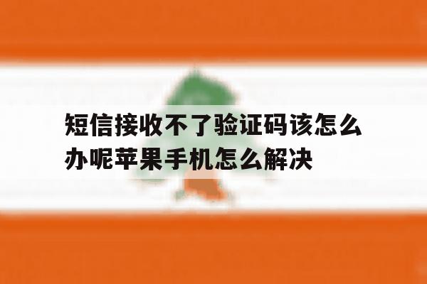 关于短信接收不了验证码该怎么办呢苹果手机怎么解决的信息 关于短信接收不了验证码该怎么办呢苹果手机怎么解决的信息