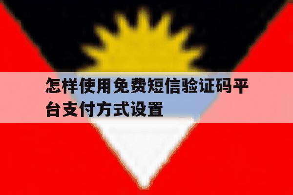 怎样使用免费短信验证码平台支付方式设置 怎样使用免费短信验证码平台支付方式设置