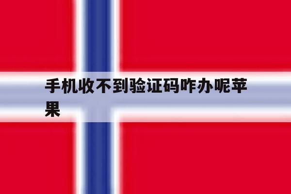 手机收不到验证码咋办呢苹果 手机收不到验证码咋办呢苹果