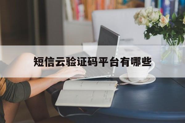 短信云验证码平台有哪些 短信云验证码平台有哪些