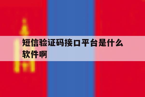 短信验证码接口平台是什么软件啊 短信验证码接口平台是什么软件啊