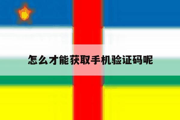 怎么才能获取手机验证码呢 怎么才能获取手机验证码呢