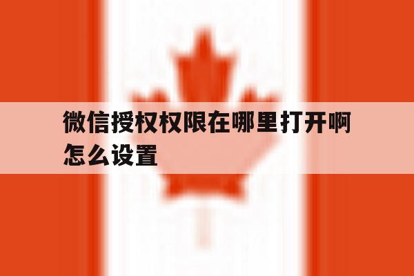 微信授权权限在哪里打开啊怎么设置 微信授权权限在哪里打开啊怎么设置