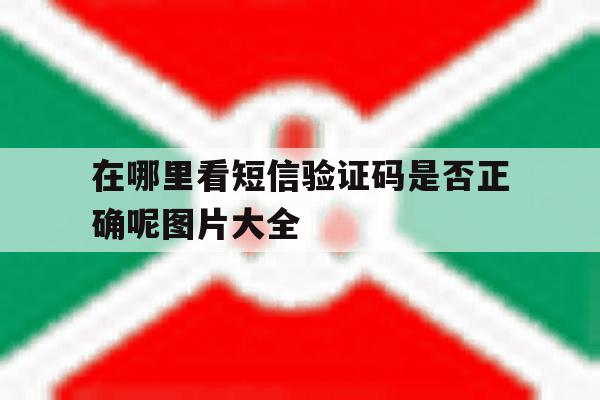 在哪里看短信验证码是否正确呢图片大全 在哪里看短信验证码是否正确呢图片大全