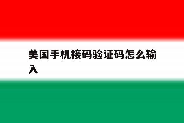 美国手机接码验证码怎么输入 美国手机接码验证码怎么输入