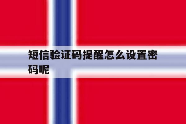 短信验证码提醒怎么设置密码呢 短信验证码提醒怎么设置密码呢