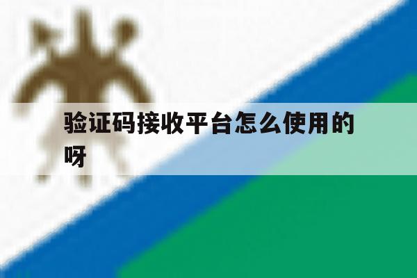 验证码接收平台怎么使用的呀 验证码接收平台怎么使用的呀