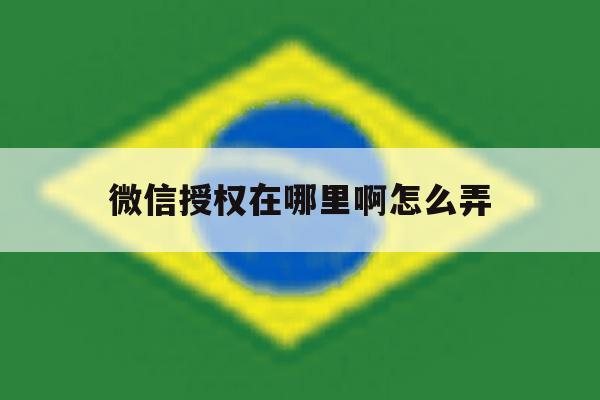 微信授权在哪里啊怎么弄 微信授权在哪里啊怎么弄