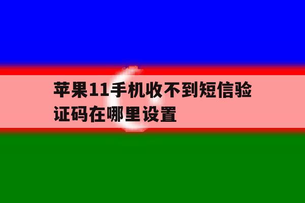 苹果11手机收不到短信验证码在哪里设置 苹果11手机收不到短信验证码在哪里设置