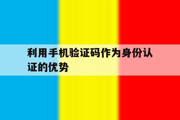 包含利用手机验证码作为身份认证的优势的词条 包含利用手机验证码作为身份认证的优势的词条