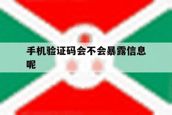 手机验证码会不会暴露信息呢 手机验证码会不会暴露信息呢