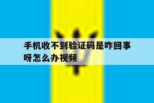 手机收不到验证码是咋回事呀怎么办视频 手机收不到验证码是咋回事呀怎么办视频