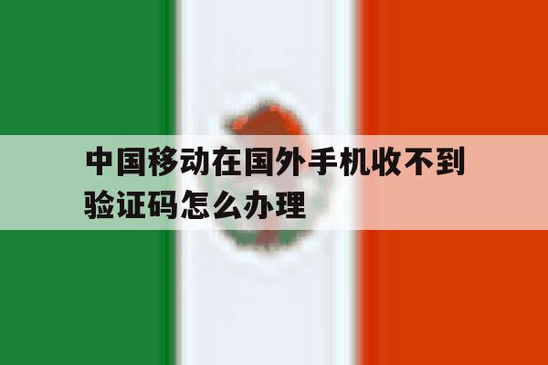 中国移动在国外手机收不到验证码怎么办理 中国移动在国外手机收不到验证码怎么办理