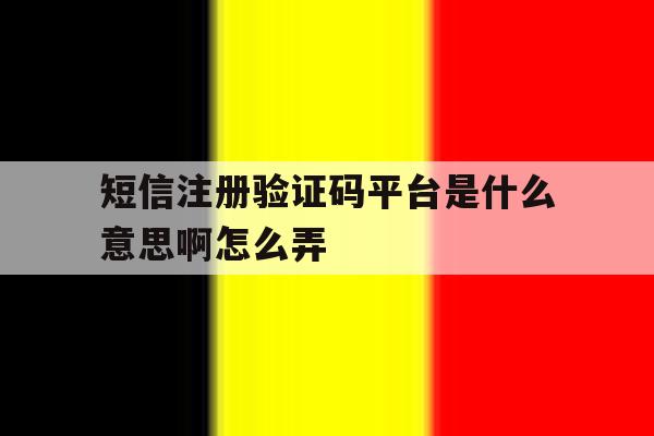 短信注册验证码平台是什么意思啊怎么弄 短信注册验证码平台是什么意思啊怎么弄