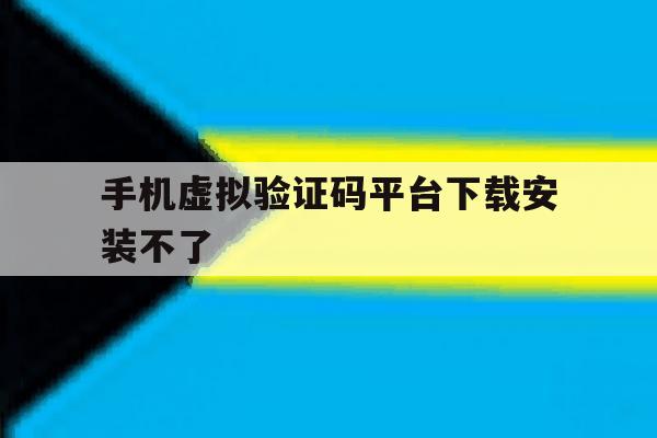 手机虚拟验证码平台下载安装不了 手机虚拟验证码平台下载安装不了