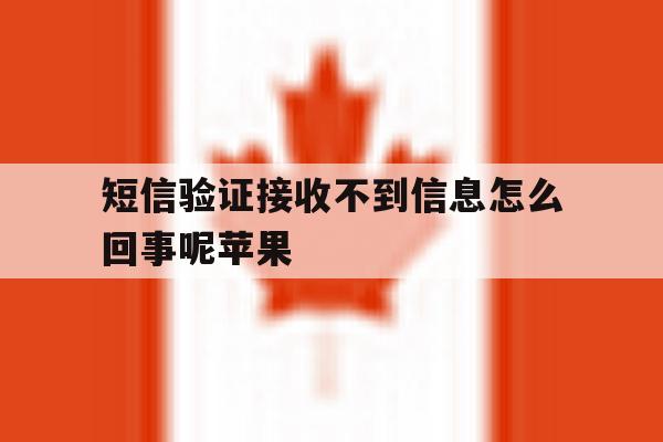 短信验证接收不到信息怎么回事呢苹果 短信验证接收不到信息怎么回事呢苹果