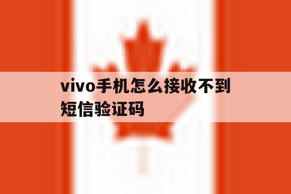 vivo手机怎么接收不到短信验证码 vivo手机怎么接收不到短信验证码