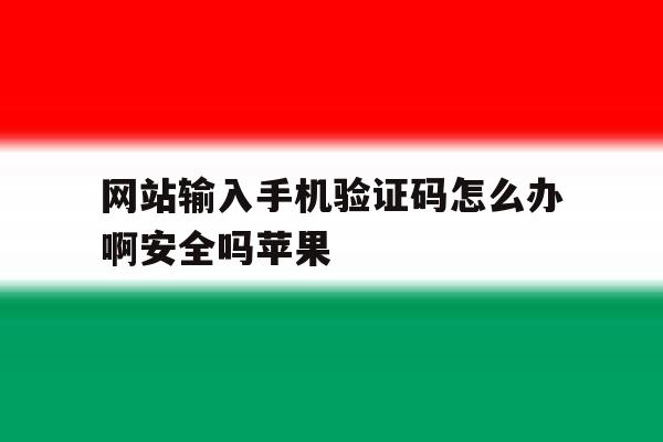 网站输入手机验证码怎么办啊安全吗苹果 网站输入手机验证码怎么办啊安全吗苹果