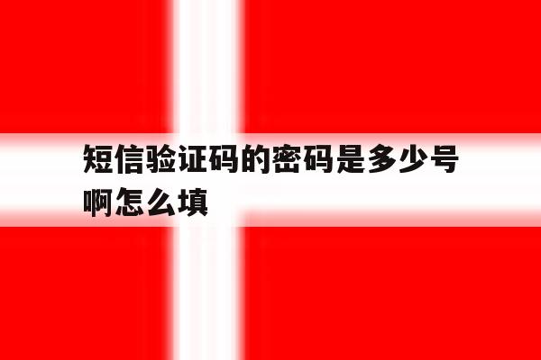 短信验证码的密码是多少号啊怎么填 短信验证码的密码是多少号啊怎么填