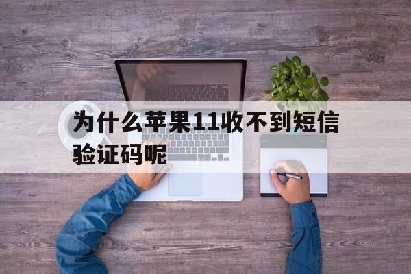 为什么苹果11收不到短信验证码呢 为什么苹果11收不到短信验证码呢