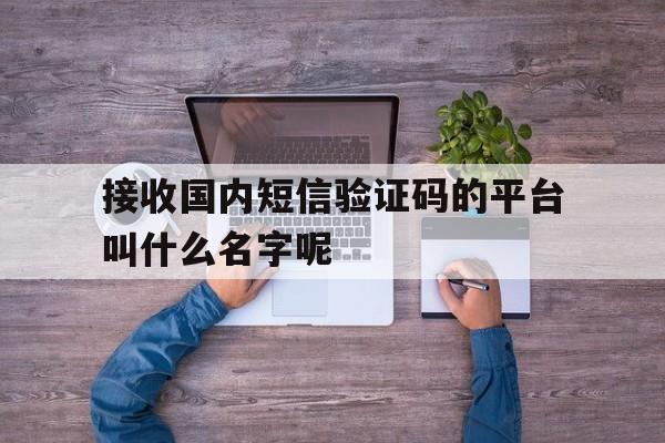 接收国内短信验证码的平台叫什么名字呢的简单介绍 接收国内短信验证码的平台叫什么名字呢的简单介绍
