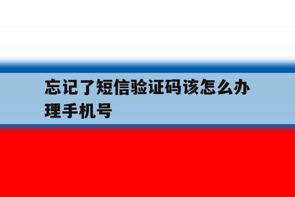 忘记了短信验证码该怎么办理手机号 忘记了短信验证码该怎么办理手机号