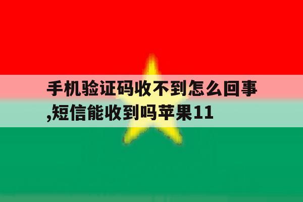 手机验证码收不到怎么回事,短信能收到吗苹果11的简单介绍 手机验证码收不到怎么回事,短信能收到吗苹果11的简单介绍