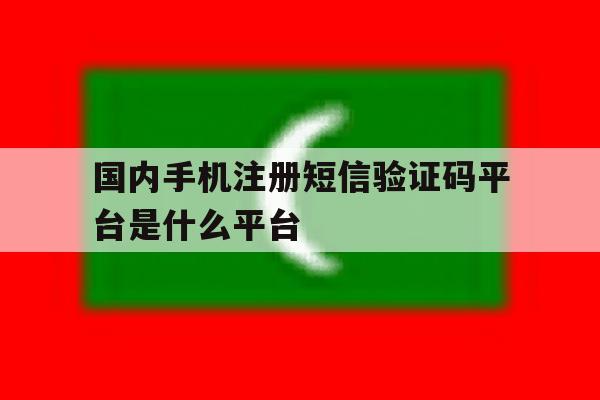 国内手机注册短信验证码平台是什么平台