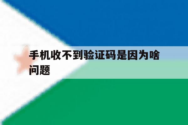 手机收不到验证码是因为啥问题 手机收不到验证码是因为啥问题
