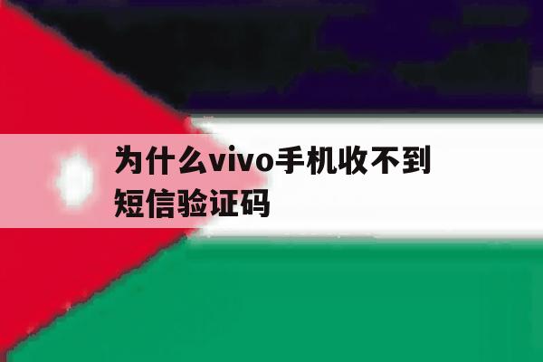 为什么vivo手机收不到短信验证码 为什么vivo手机收不到短信验证码