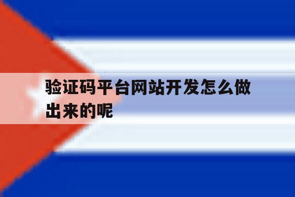 验证码平台网站开发怎么做出来的呢 验证码平台网站开发怎么做出来的呢
