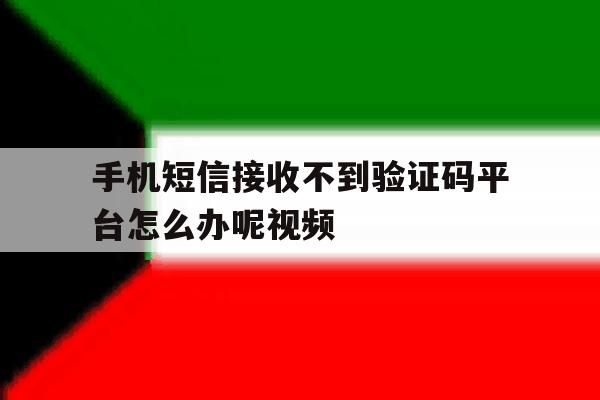 包含手机短信接收不到验证码平台怎么办呢视频的词条 包含手机短信接收不到验证码平台怎么办呢视频的词条