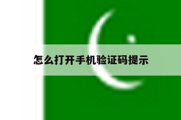 怎么打开手机验证码提示 怎么打开手机验证码提示