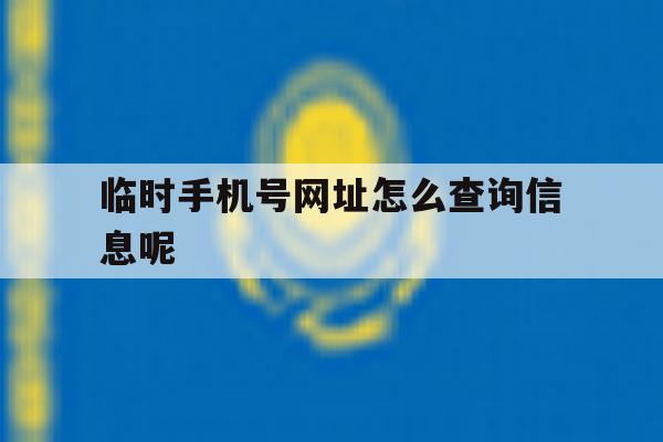 临时手机号网址怎么查询信息呢 临时手机号网址怎么查询信息呢