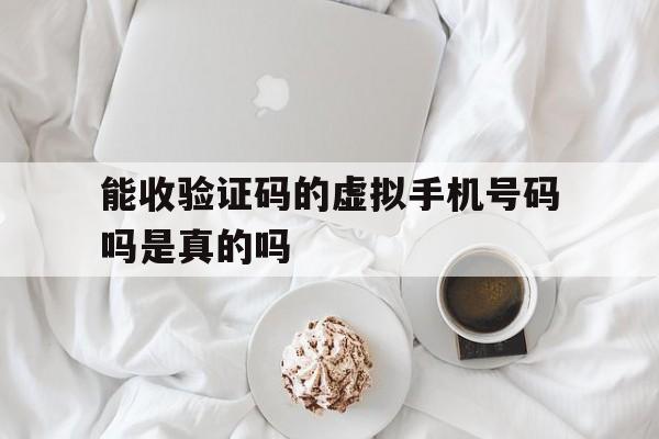 能收验证码的虚拟手机号码吗是真的吗 能收验证码的虚拟手机号码吗是真的吗